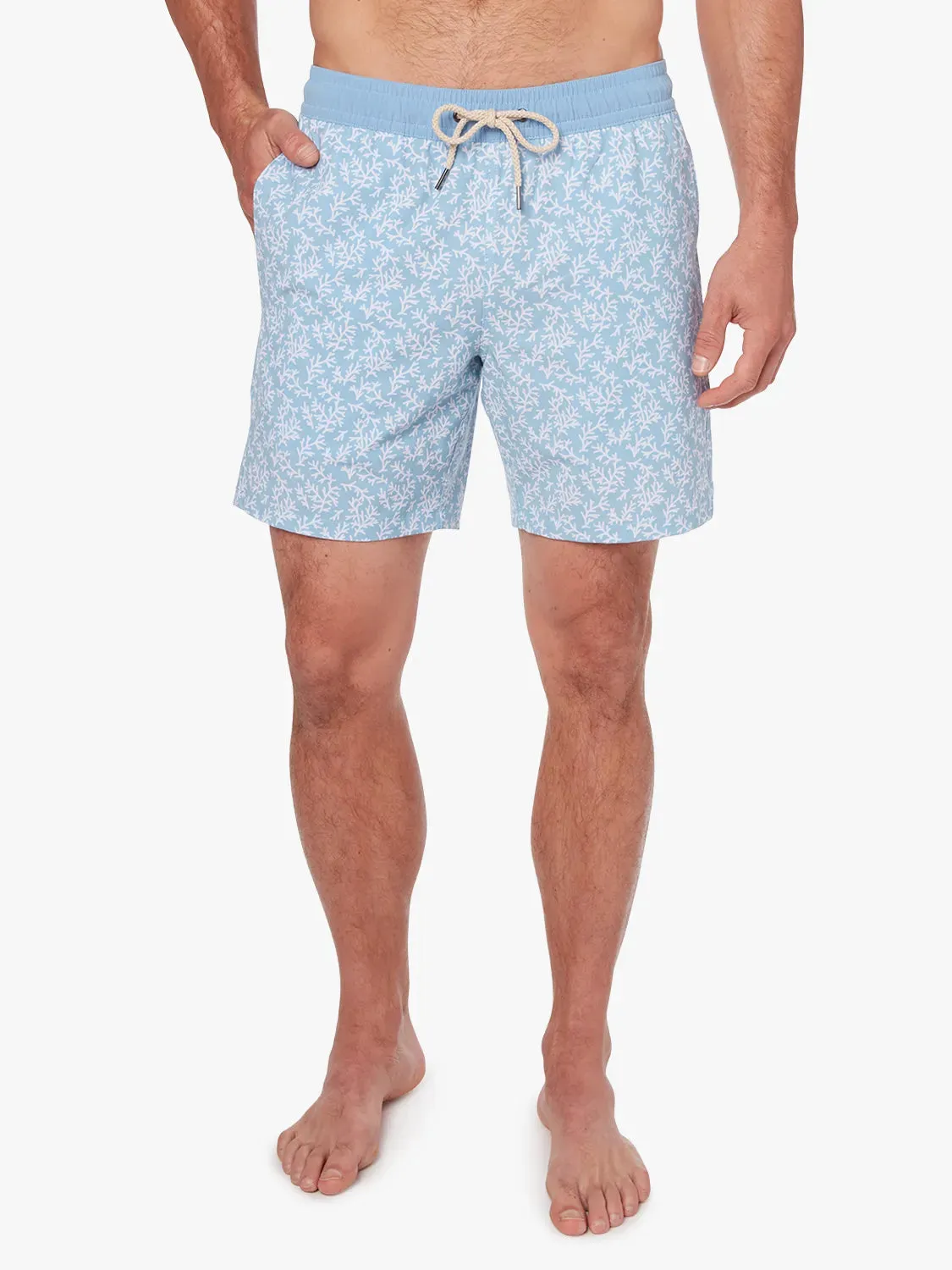 Bayberry Trunk | Mist Seaweed