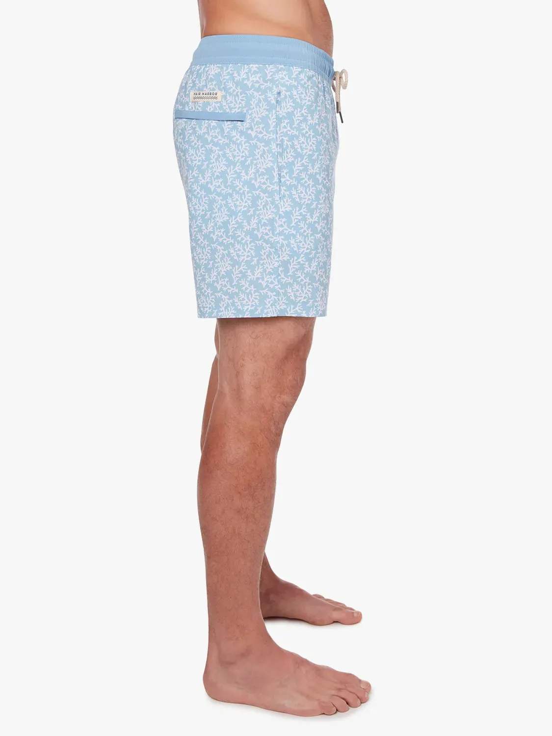 Bayberry Trunk | Mist Seaweed
