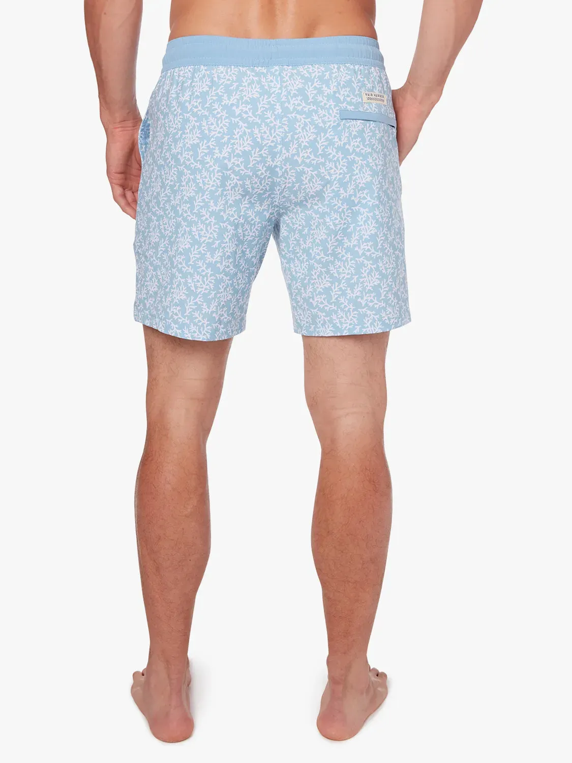 Bayberry Trunk | Mist Seaweed