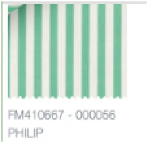 Belinda in Kelly Green Stripe