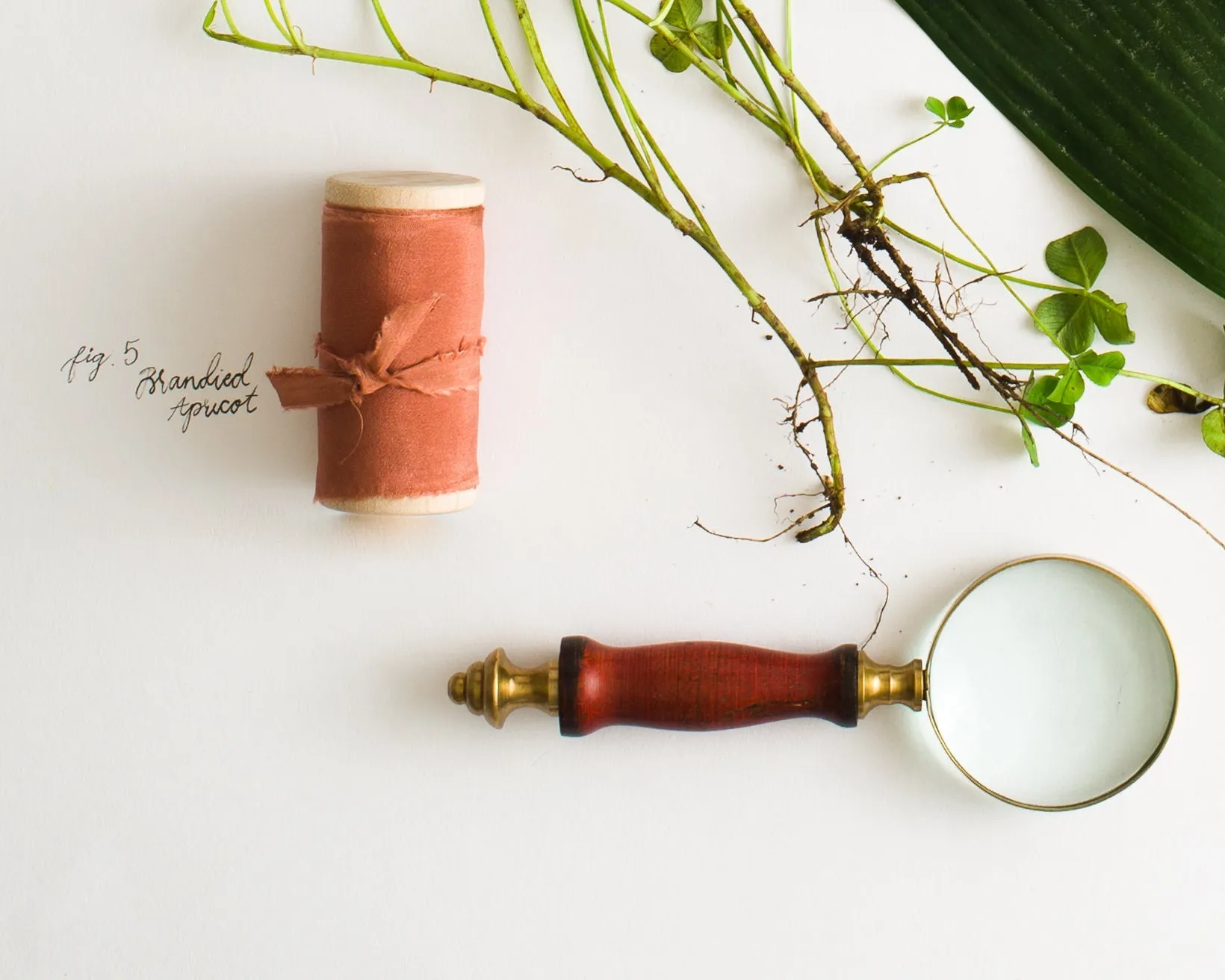Brandied Apricot Silk Ribbon in Habotai