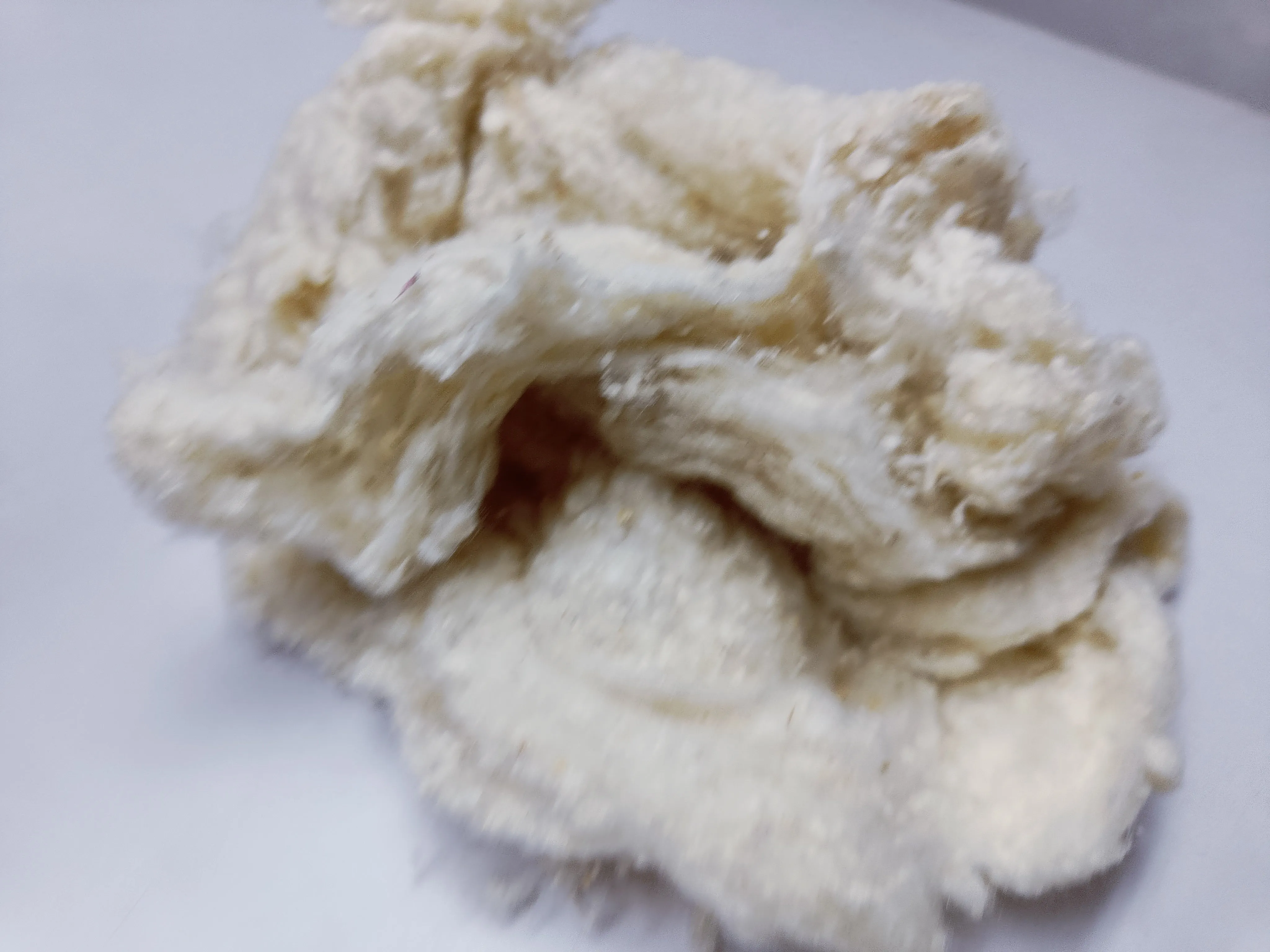 Noil Silk Fiber