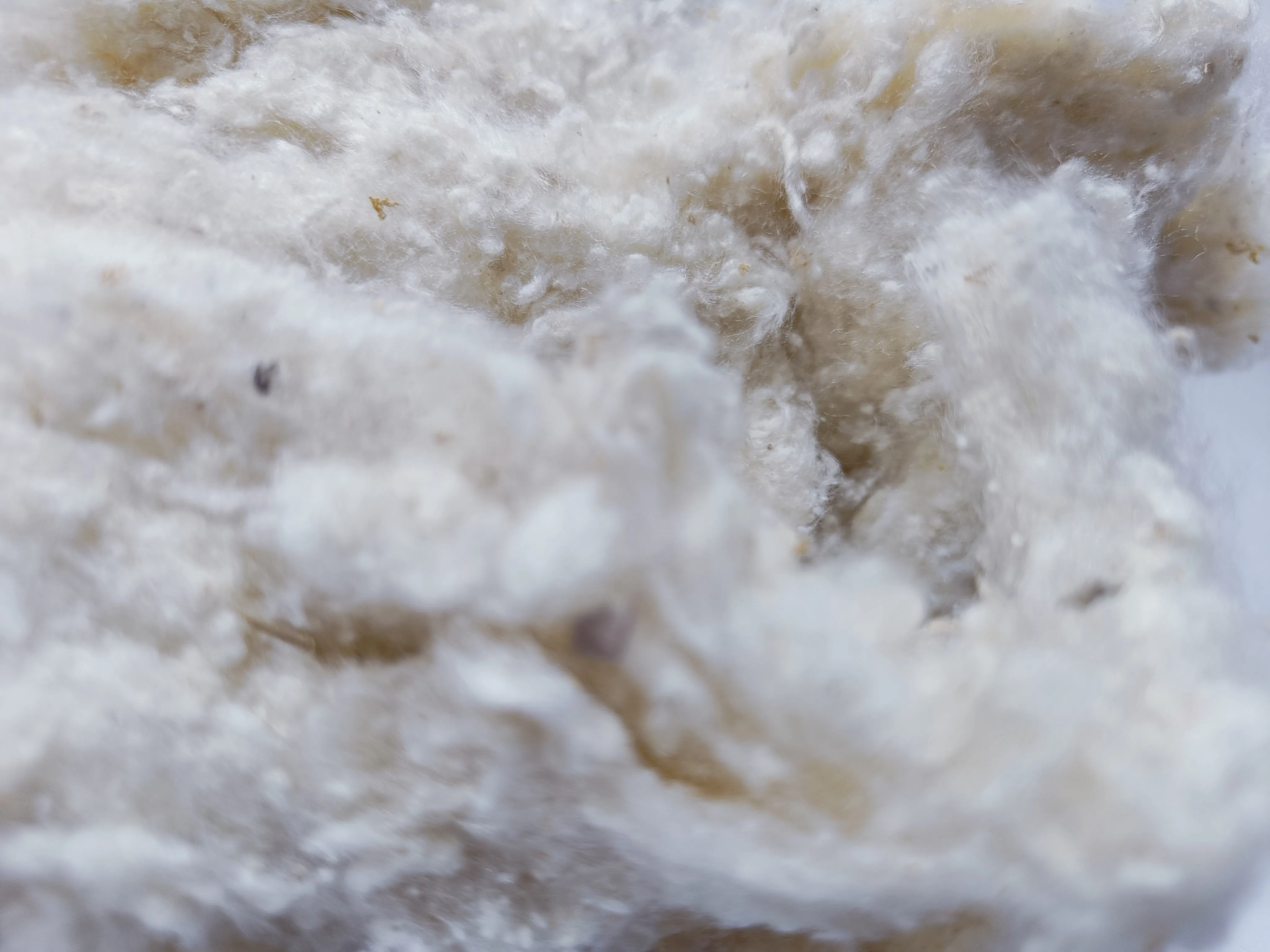 Noil Silk Fiber