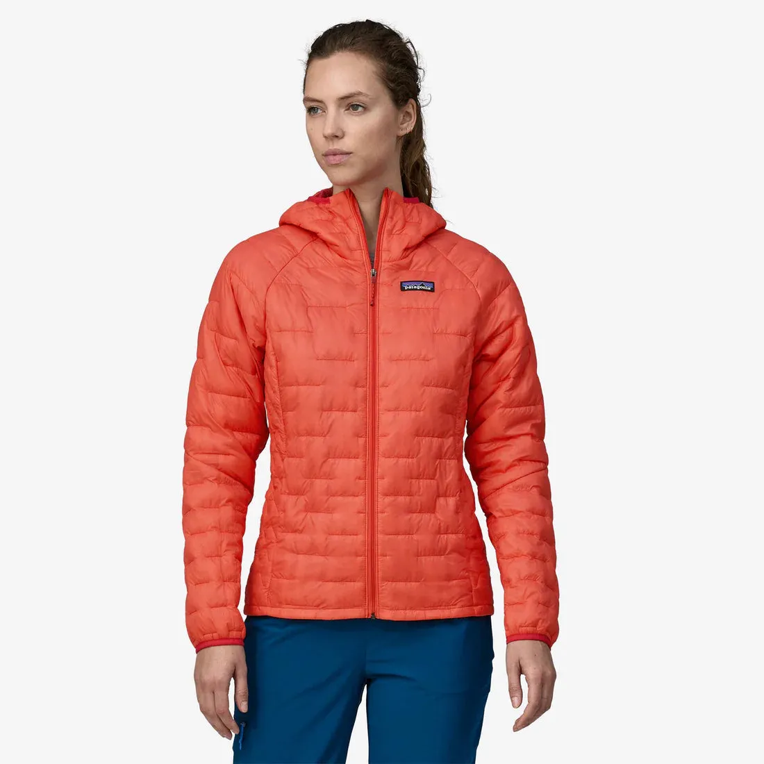 Patagonia Micro Puff Hoody (Women's) Pine Needle Green