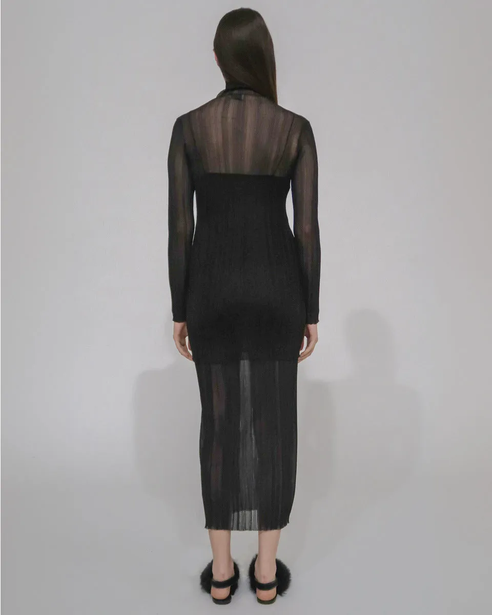 SHEER PLISSE TURTLENECK