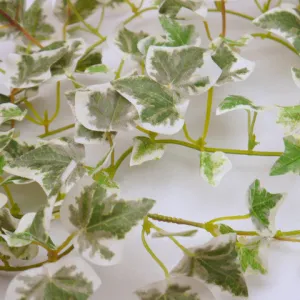 Silk Green Ivy Wired Garlands 6' 1pc