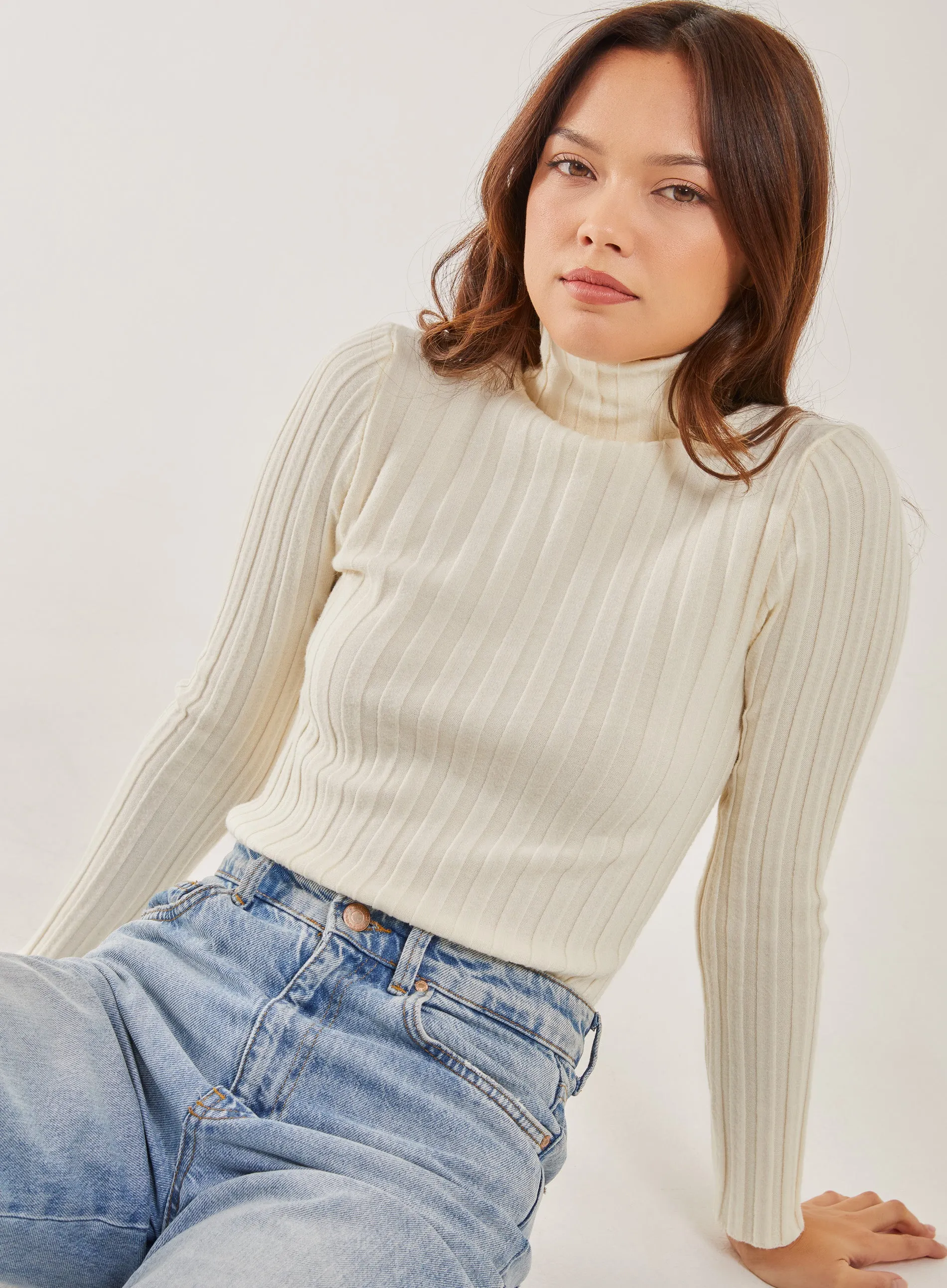 Soft Knit Wide Rib Roll Neck Top