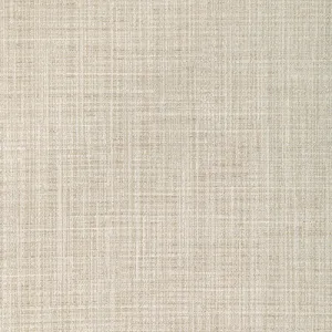 Soft Lights-Champagne