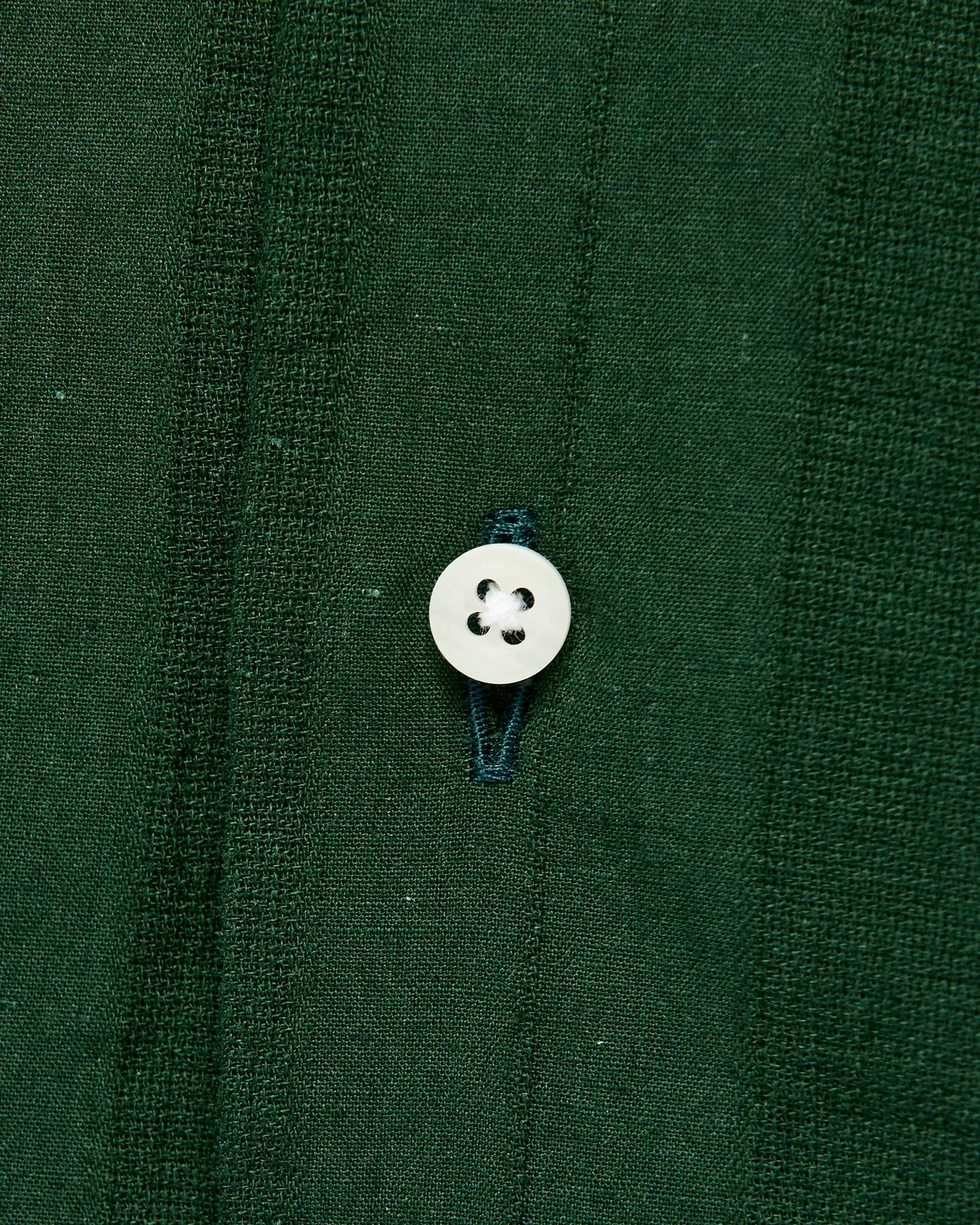 Striped Camp Shirt in Green