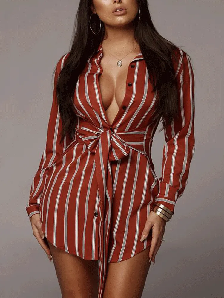 Striped Long Sleeve Loose Mini Dress