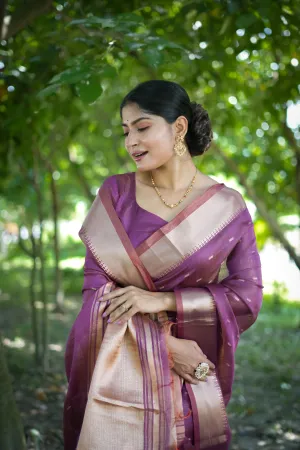 Wine Soft Kalyani Silk Saree